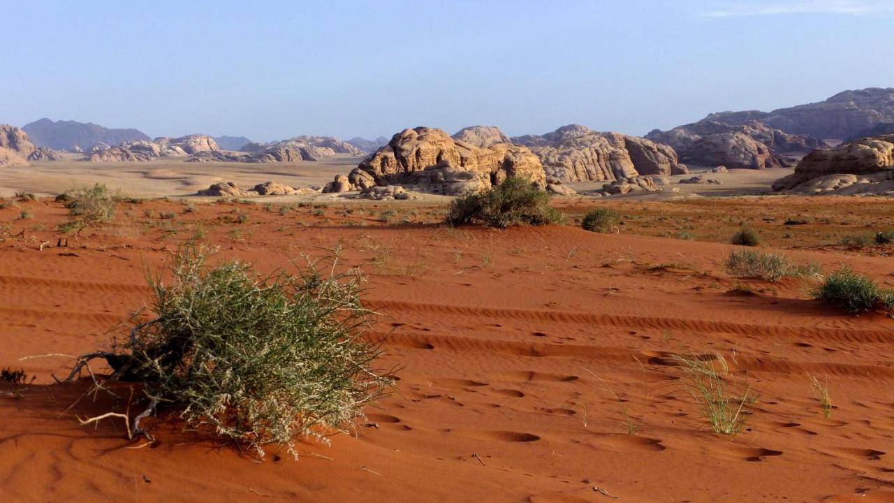 Salem Camp Hotel Wadi Rum Bagian luar foto
