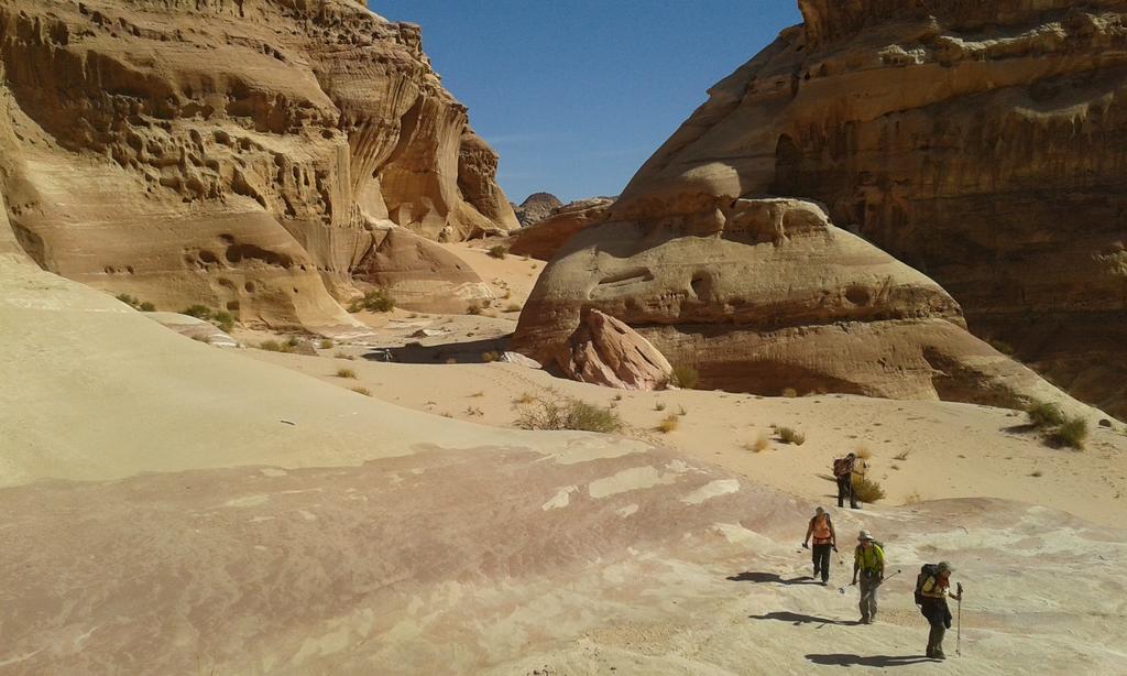 Salem Camp Hotel Wadi Rum Bagian luar foto