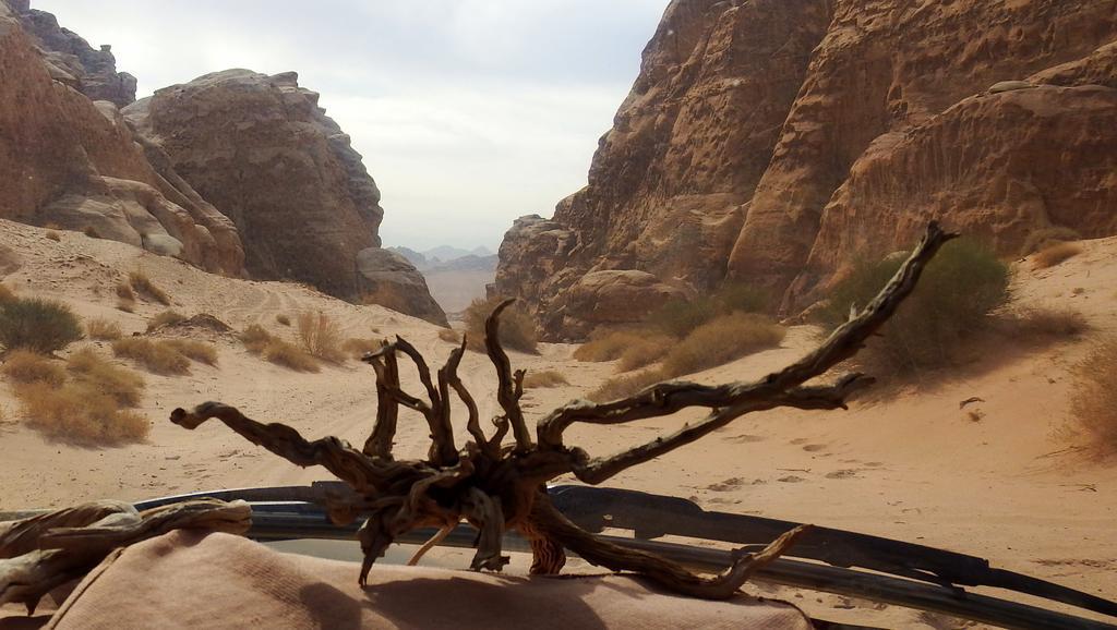 Salem Camp Hotel Wadi Rum Bagian luar foto