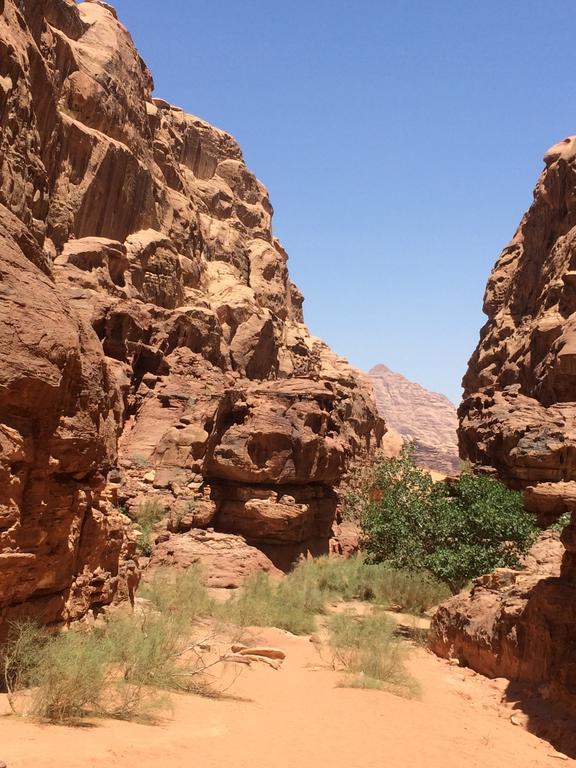Salem Camp Hotel Wadi Rum Bagian luar foto